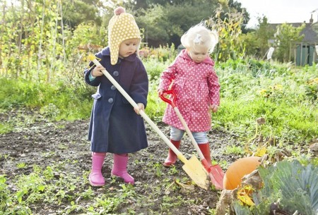 Nursery Fields Forever