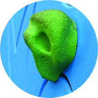 Vert audacieux