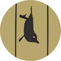 Café crème <br/> Noir corbeau <br/> Café crème